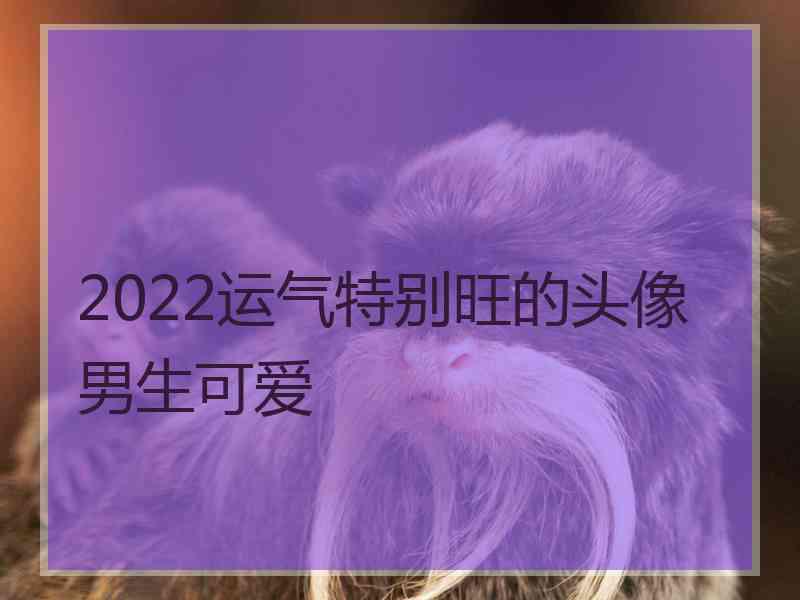 2022运气特别旺的头像男生可爱