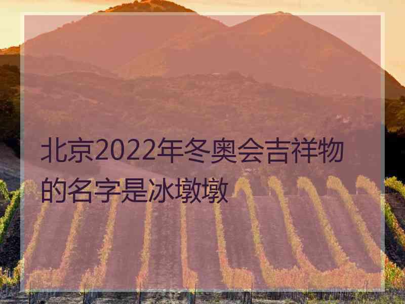 北京2022年冬奥会吉祥物的名字是冰墩墩