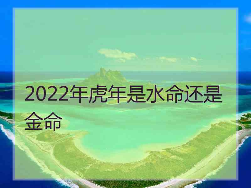 2022年虎年是水命还是金命