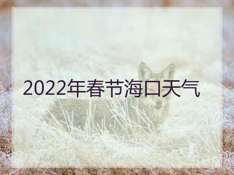 2022年春节海口天气