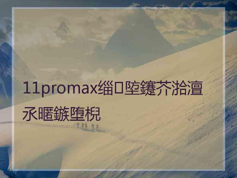 11promax缁埅鑳芥湁澶氶暱鏃堕棿