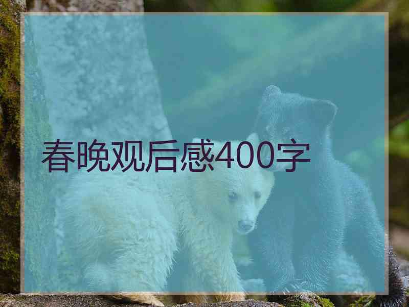 春晚观后感400字