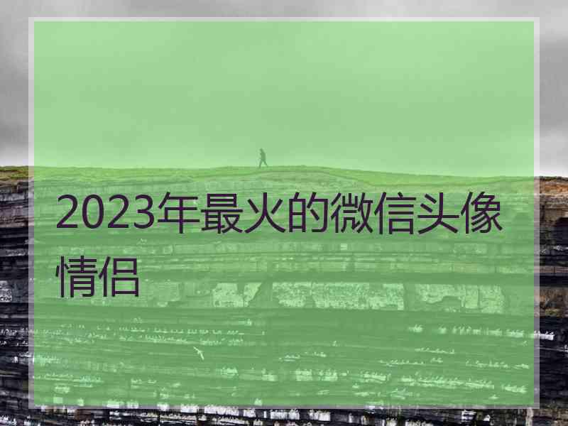 2023年最火的微信头像情侣