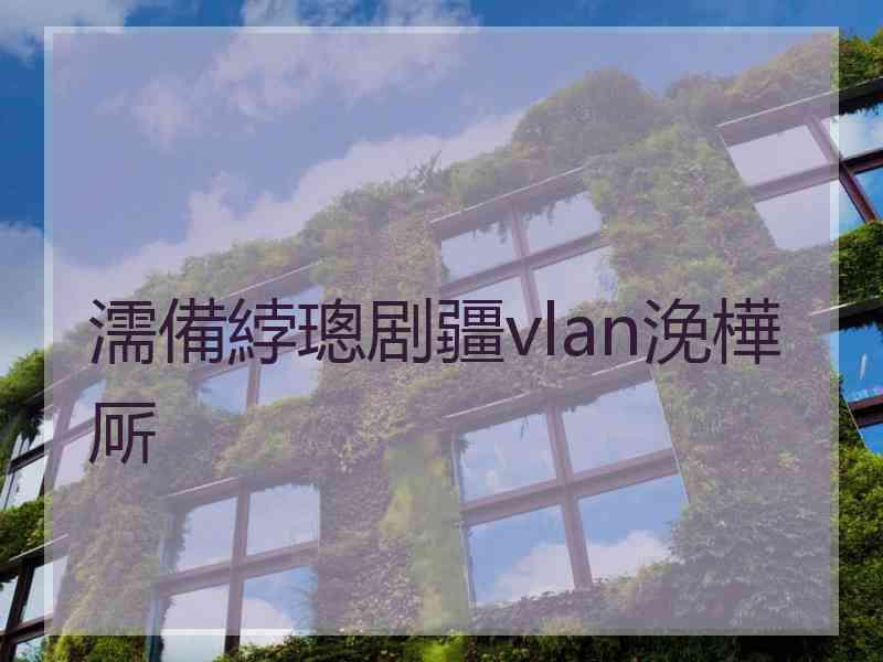 濡備綍璁剧疆vlan浼樺厛