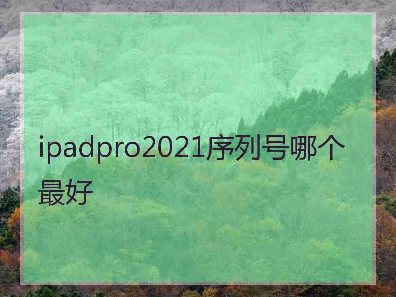 ipadpro2021序列号哪个最好