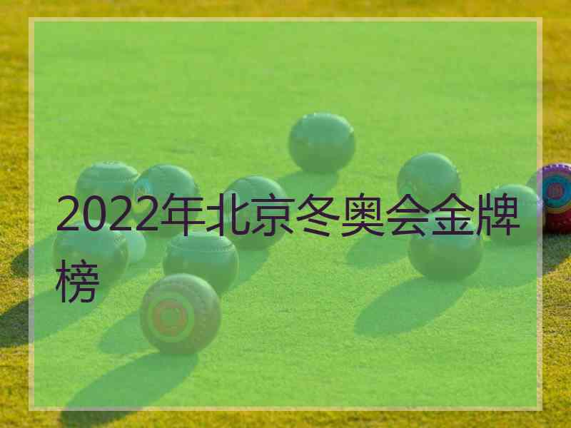 2022年北京冬奥会金牌榜