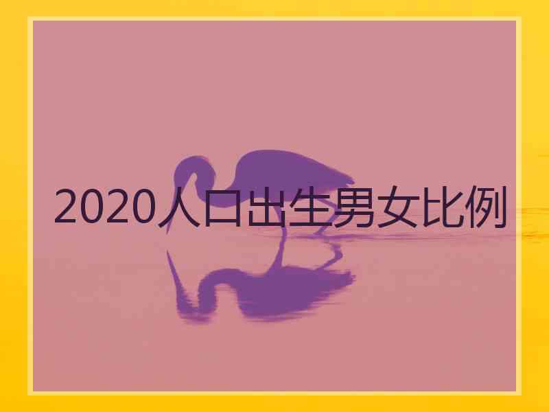 2020人口出生男女比例