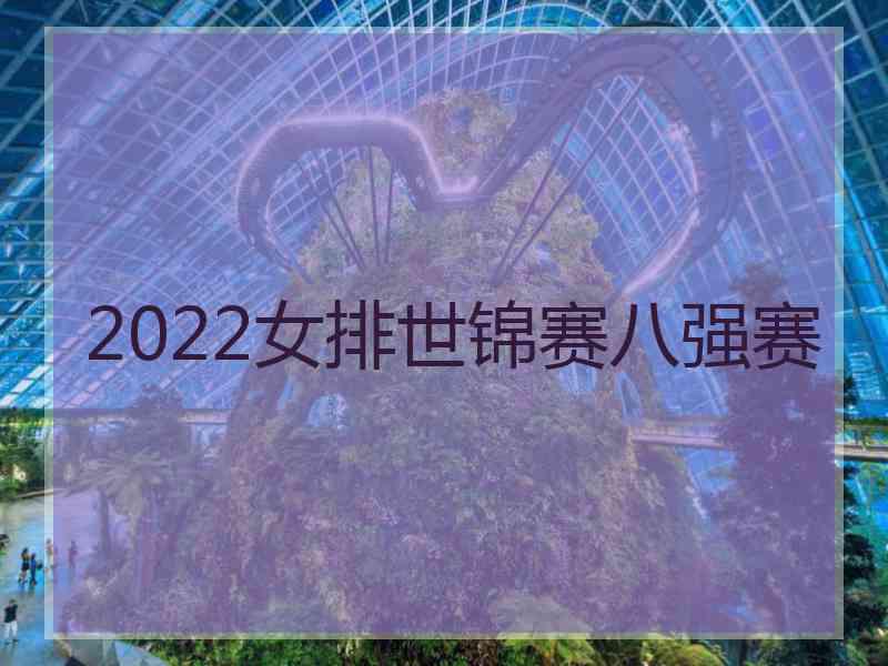 2022女排世锦赛八强赛