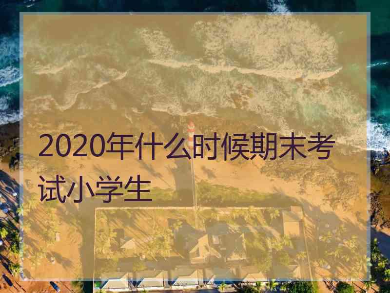 2020年什么时候期末考试小学生