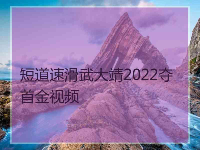 短道速滑武大靖2022夺首金视频