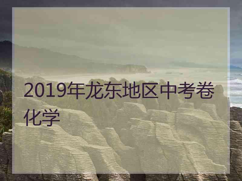 2019年龙东地区中考卷化学