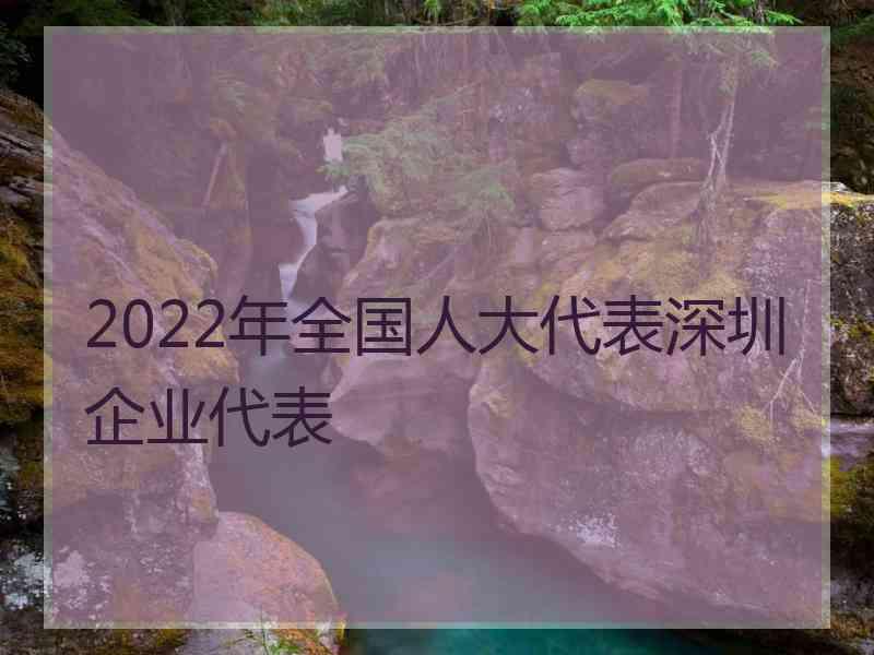 2022年全国人大代表深圳企业代表