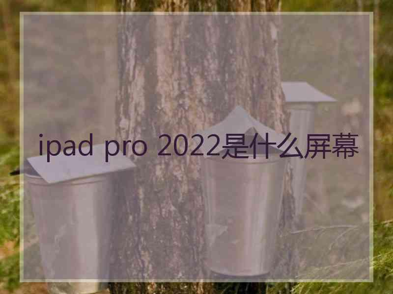 ipad pro 2022是什么屏幕