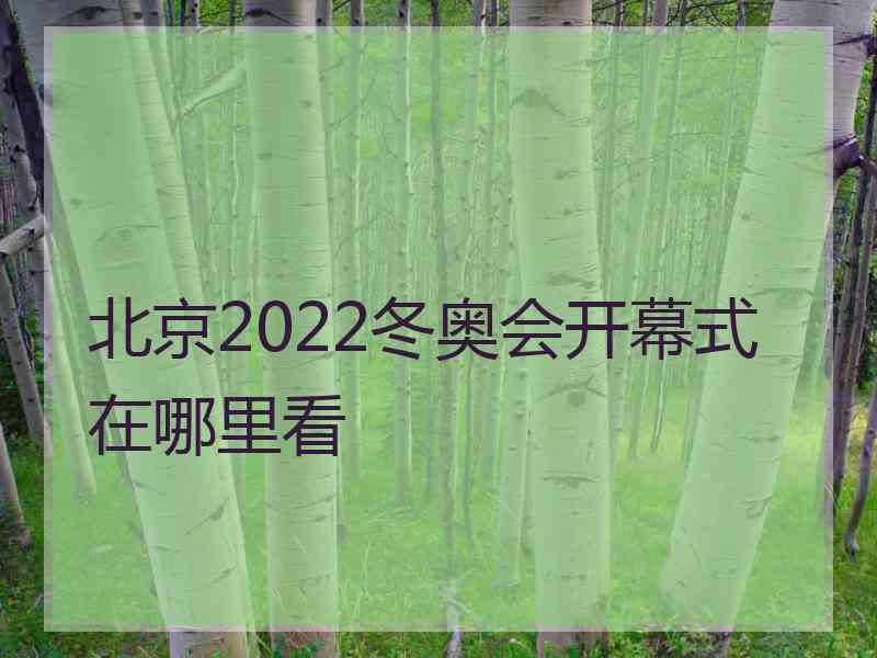 北京2022冬奥会开幕式在哪里看