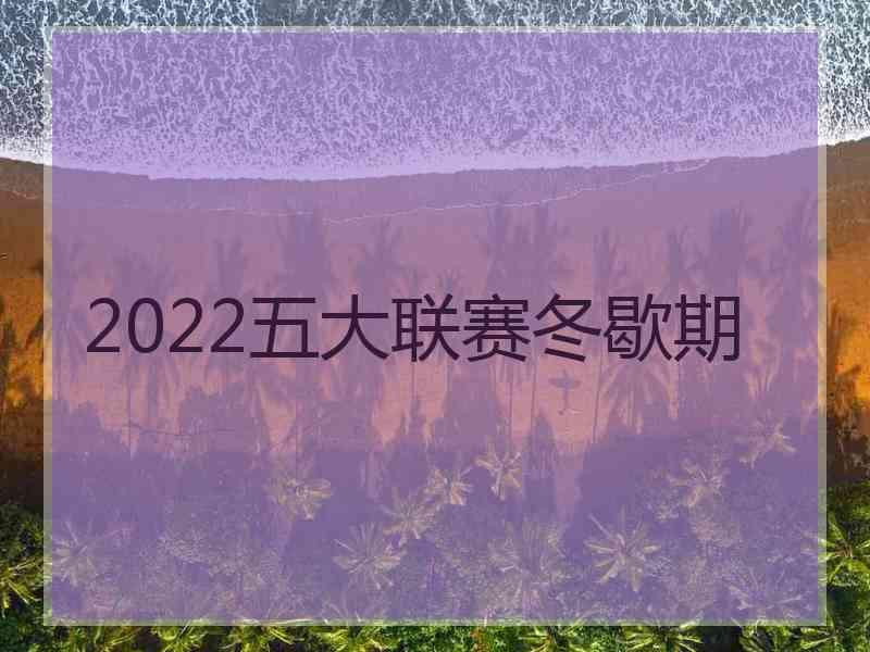 2022五大联赛冬歇期