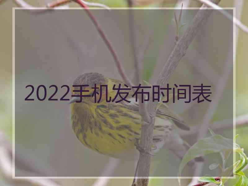 2022手机发布时间表