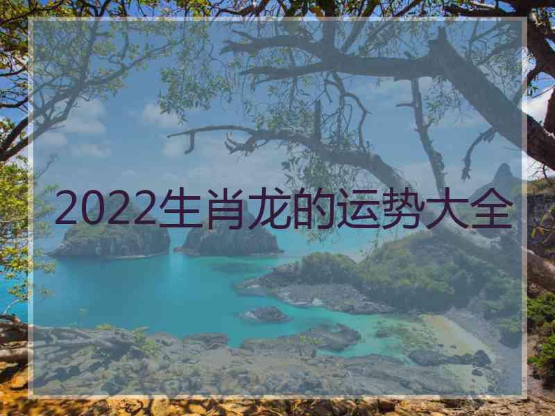 2022生肖龙的运势大全