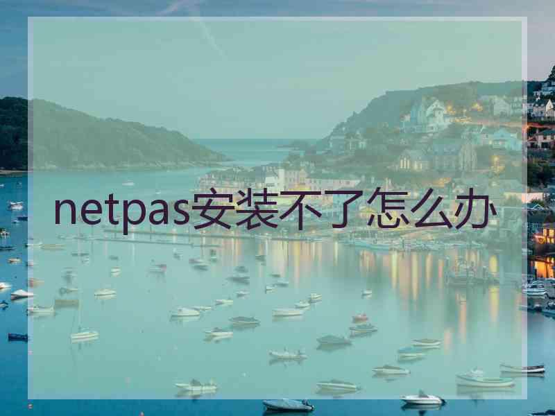 netpas安装不了怎么办