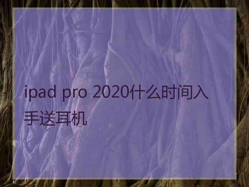 ipad pro 2020什么时间入手送耳机