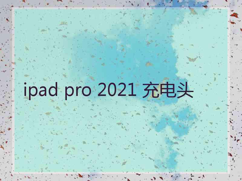 ipad pro 2021 充电头