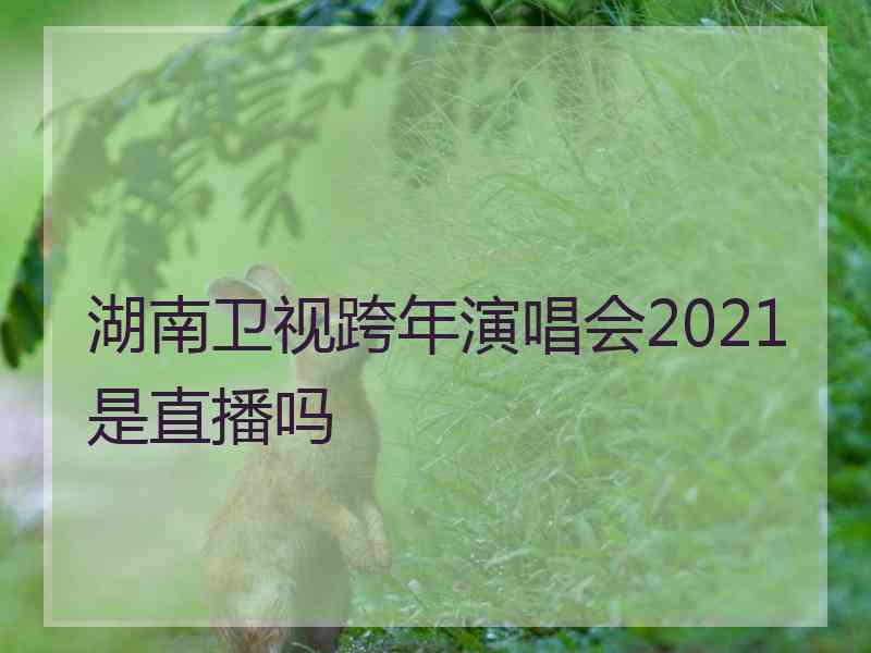 湖南卫视跨年演唱会2021是直播吗