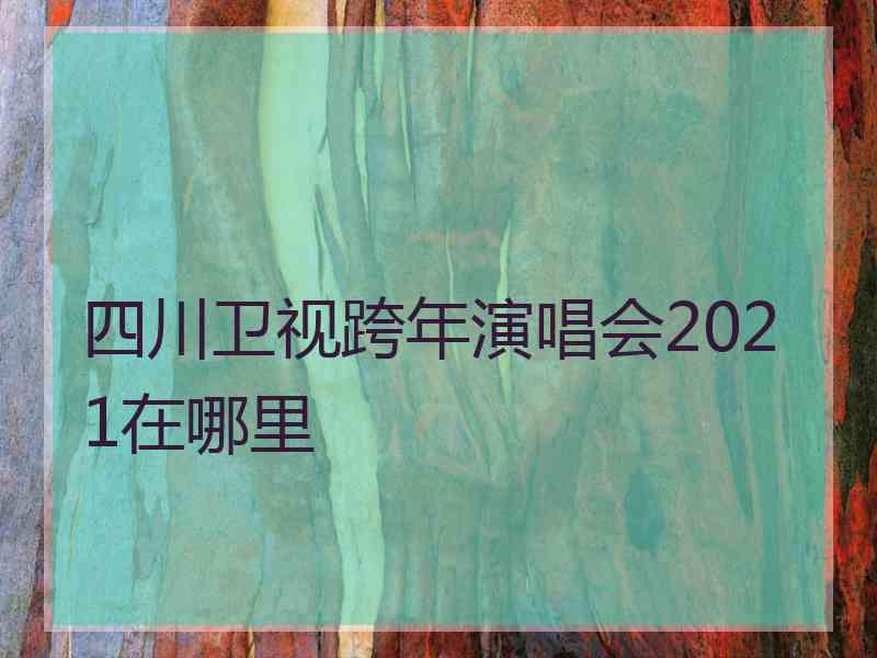 四川卫视跨年演唱会2021在哪里