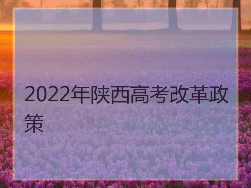 2022年陕西高考改革政策