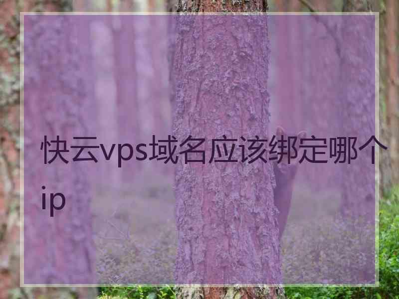 快云vps域名应该绑定哪个ip