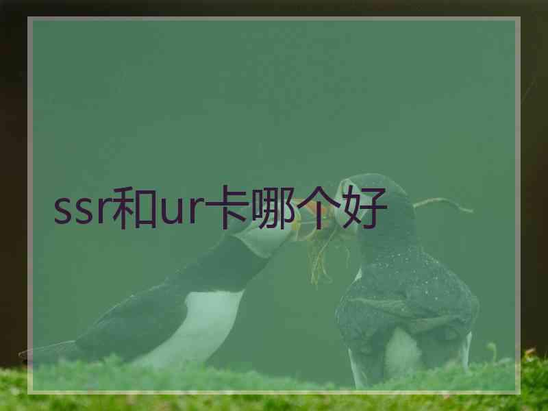 ssr和ur卡哪个好