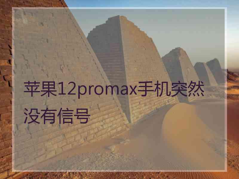 苹果12promax手机突然没有信号