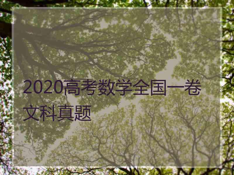 2020高考数学全国一卷文科真题