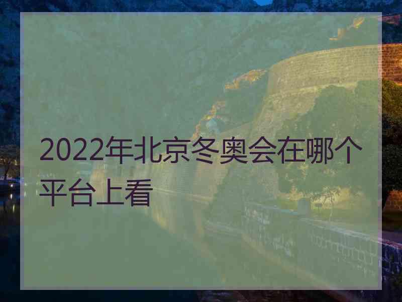 2022年北京冬奥会在哪个平台上看