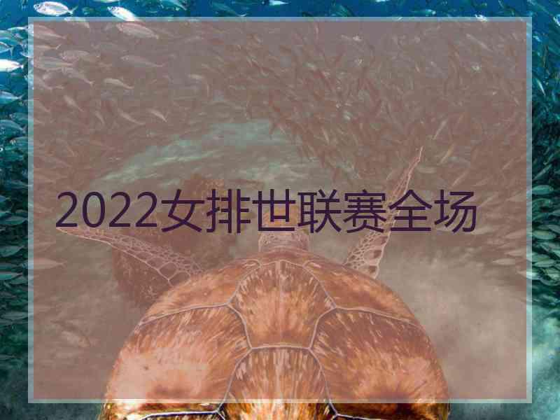 2022女排世联赛全场