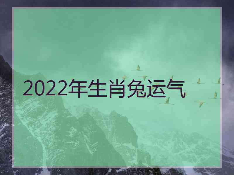 2022年生肖兔运气