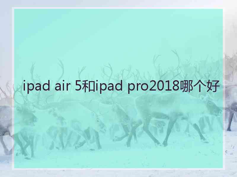 ipad air 5和ipad pro2018哪个好