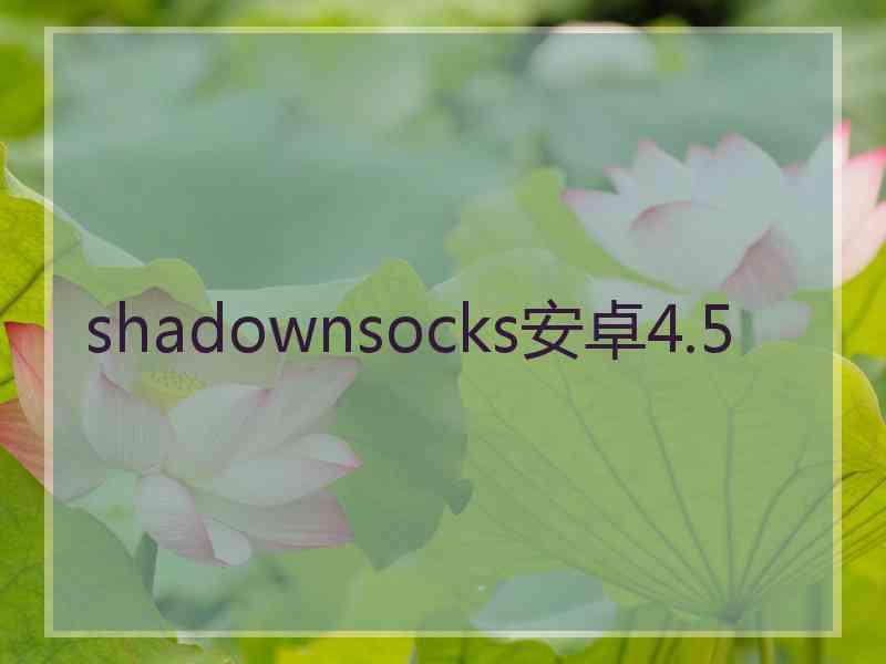 shadownsocks安卓4.5