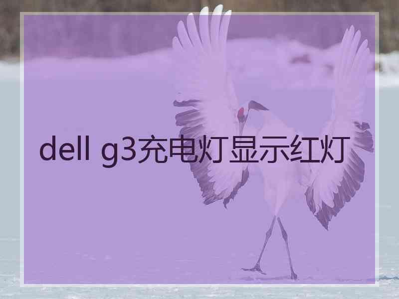 dell g3充电灯显示红灯