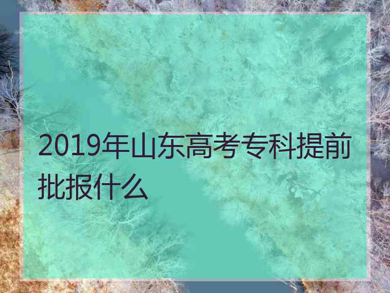 2019年山东高考专科提前批报什么