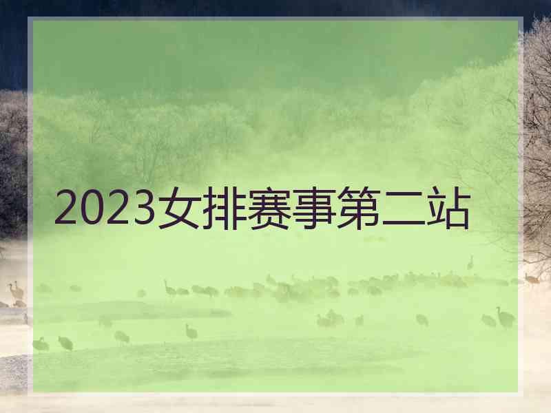 2023女排赛事第二站