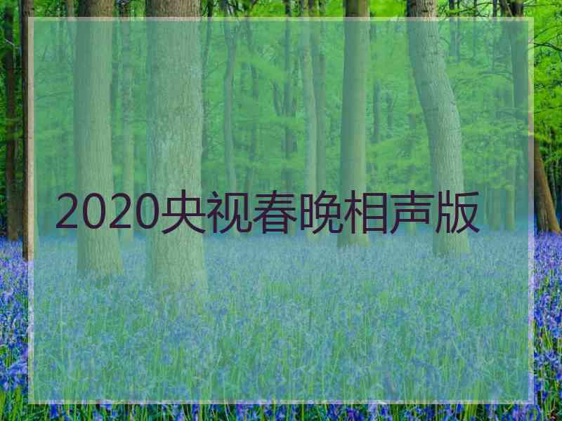 2020央视春晚相声版