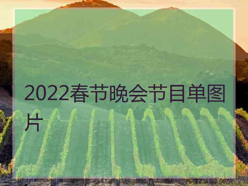 2022春节晚会节目单图片