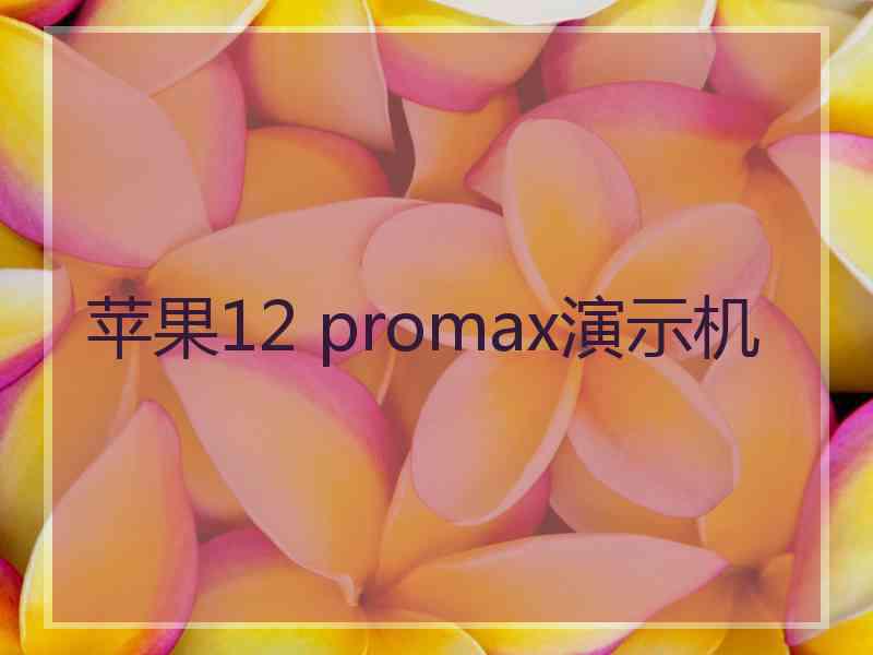 苹果12 promax演示机