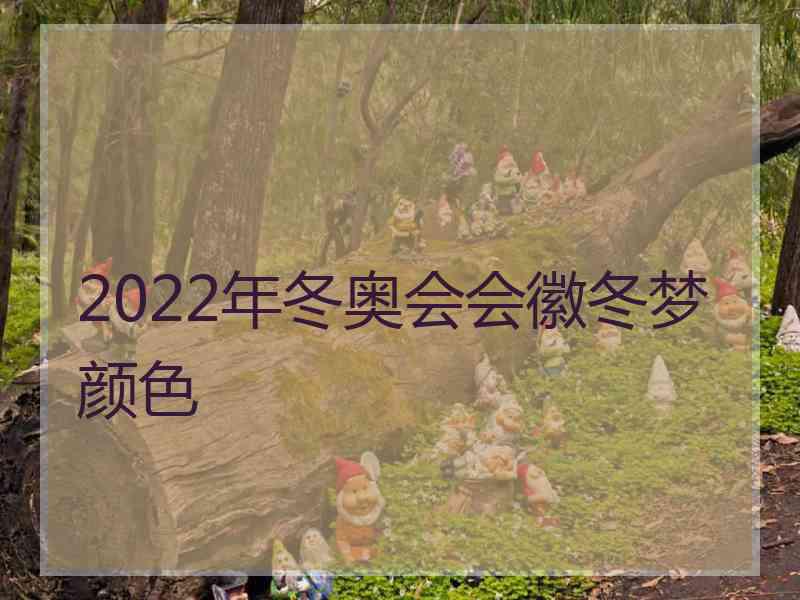 2022年冬奥会会徽冬梦颜色