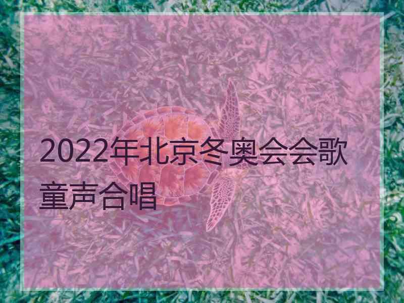 2022年北京冬奥会会歌童声合唱