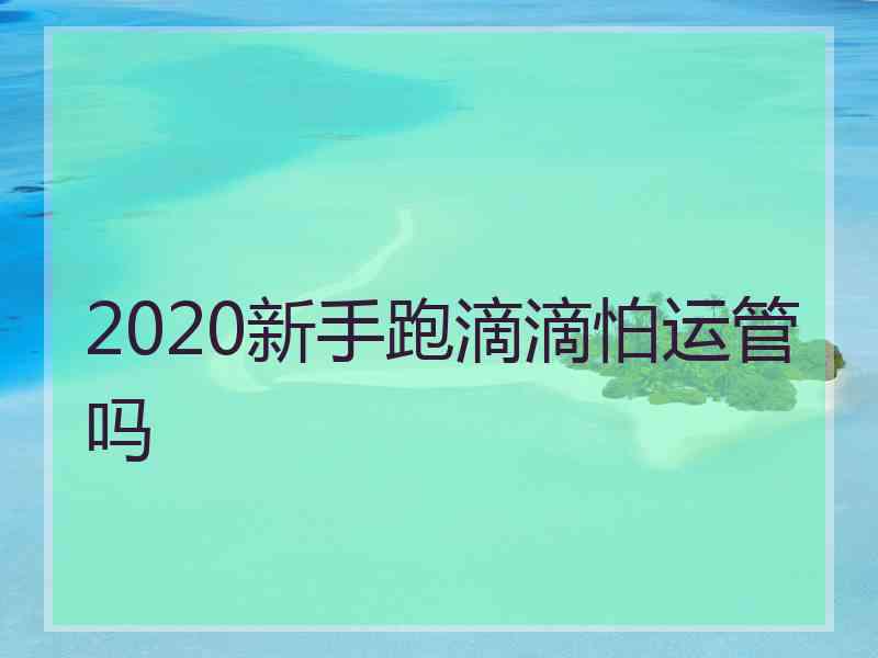 2020新手跑滴滴怕运管吗