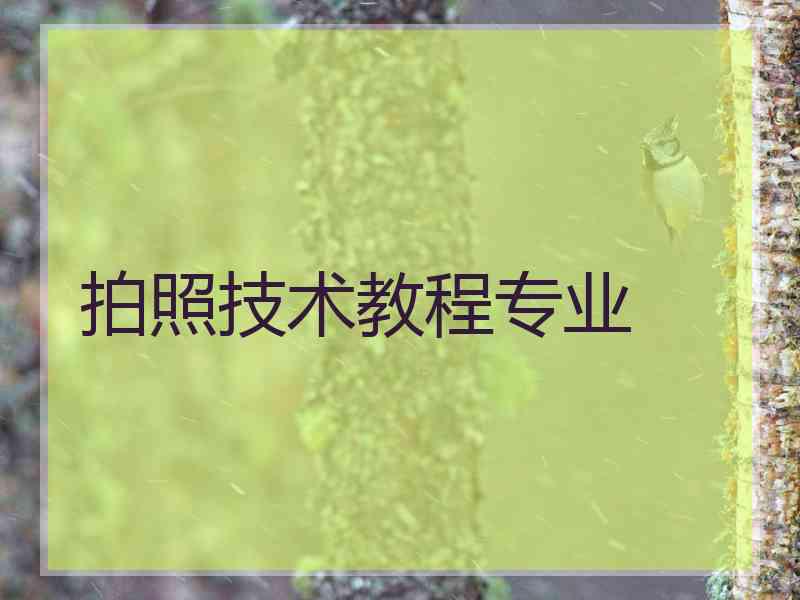 拍照技术教程专业