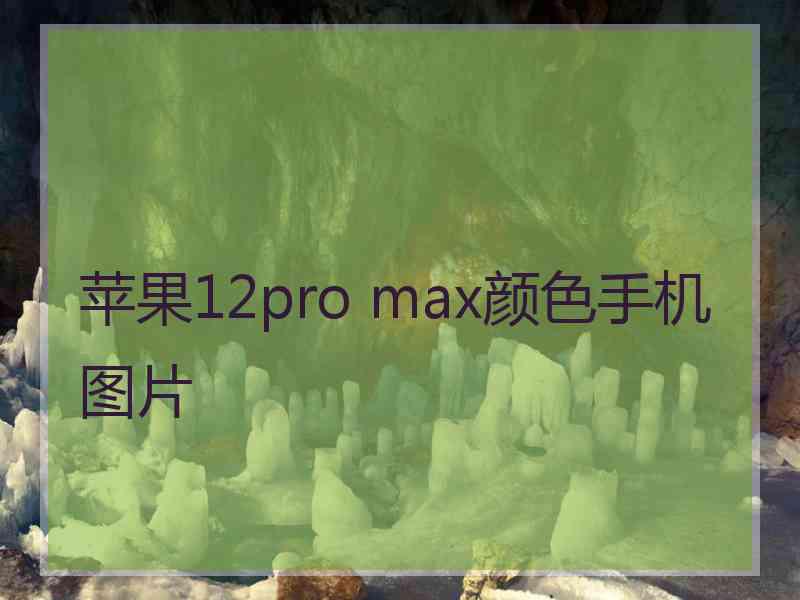 苹果12pro max颜色手机图片