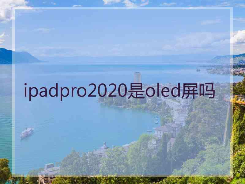 ipadpro2020是oled屏吗