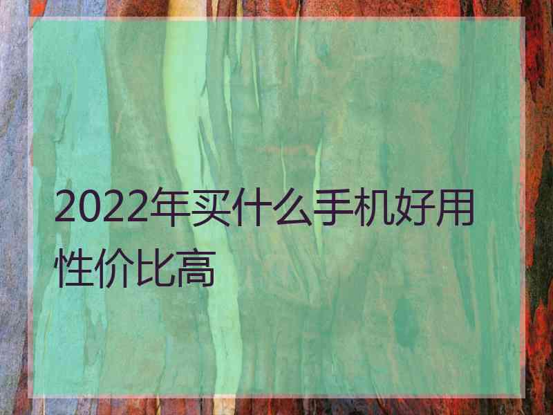 2022年买什么手机好用性价比高