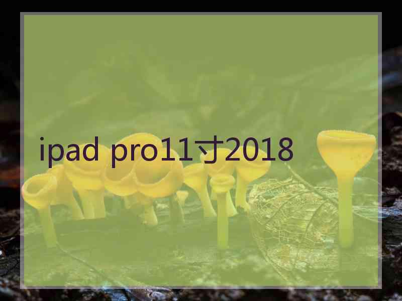 ipad pro11寸2018